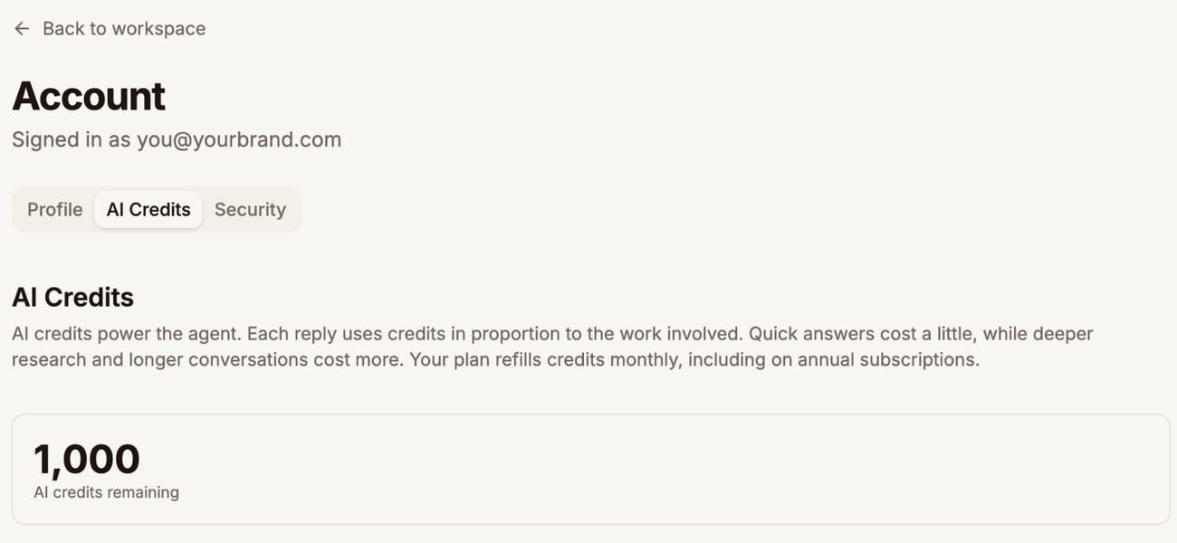 The AI Credits tab of the Account page, showing 1,000 AI credits remaining